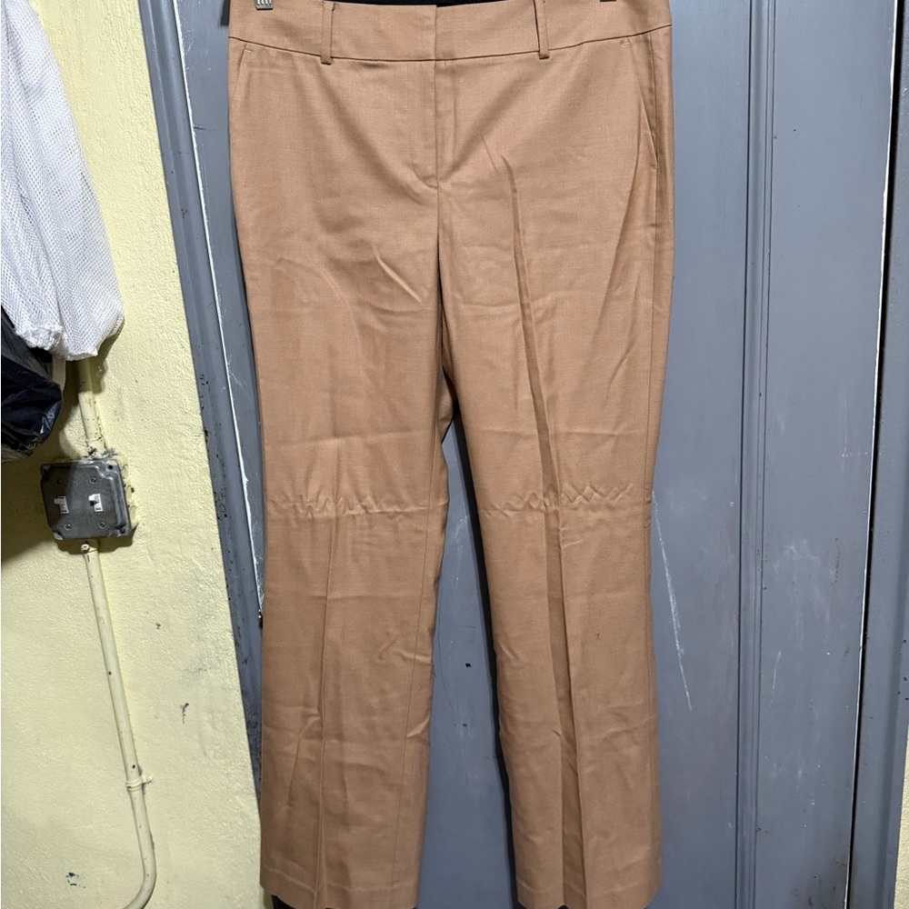 Ann Taylor Women's Brown Pants